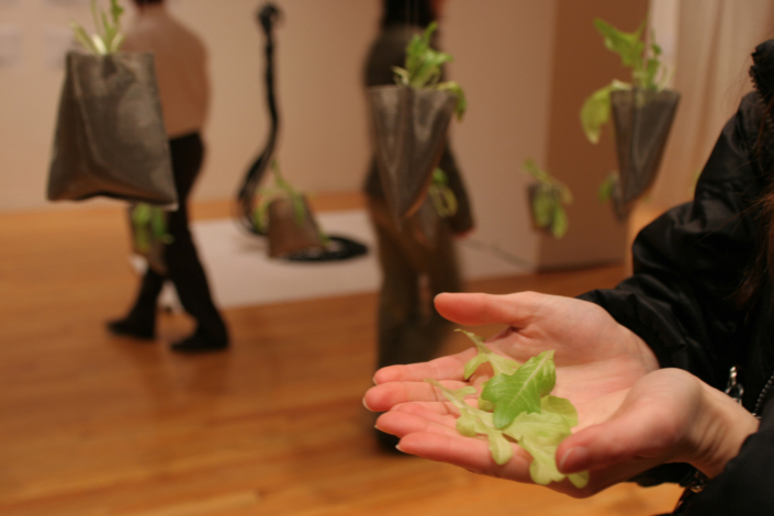 Leah Gauthier, Lettuce, 2006