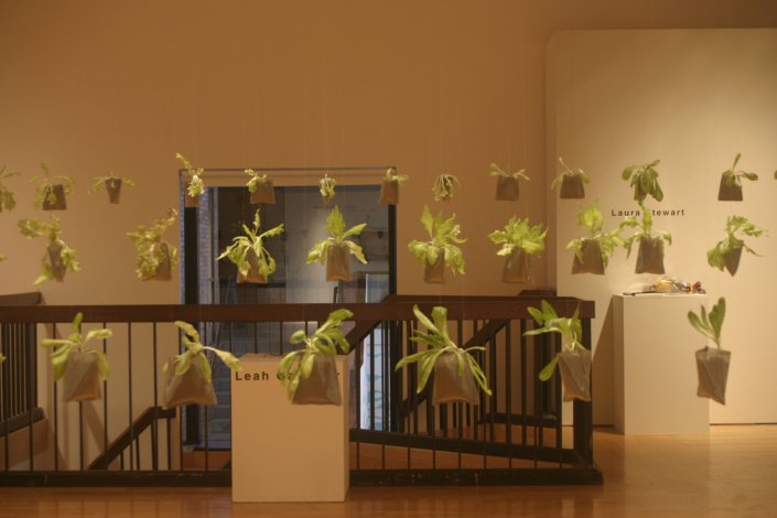 Leah Gauthier, Lettuce, 2006