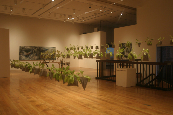 Leah Gauthier, Lettuce, 2006