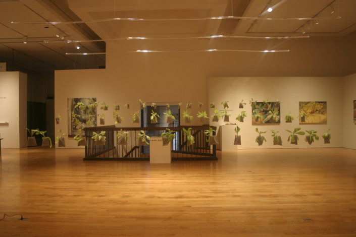 Leah Gauthier, Lettuce, 2006